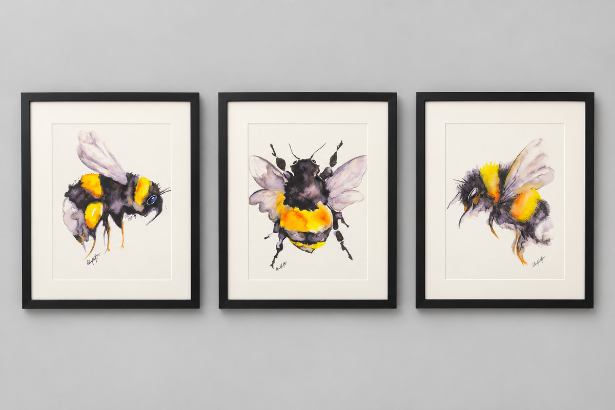 Set of Three Framed Bumblebee Watercolour Prints