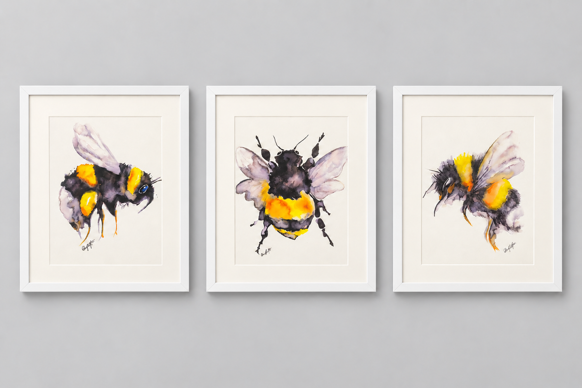 Set of Three Framed Bumblebee Watercolour Prints