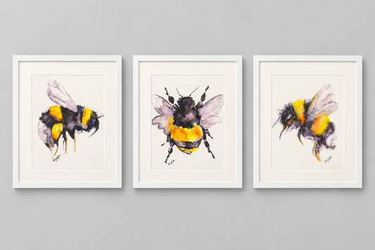 Set of Three Framed Bumblebee Watercolour Prints
